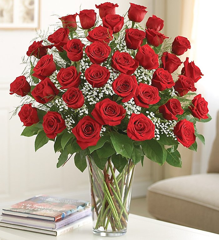 24 Premium Long Stem Red Roses