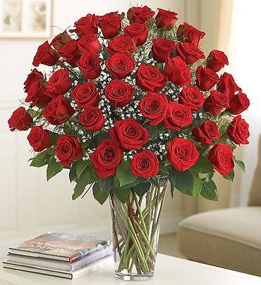 24 Premium Long Stem Red Roses
