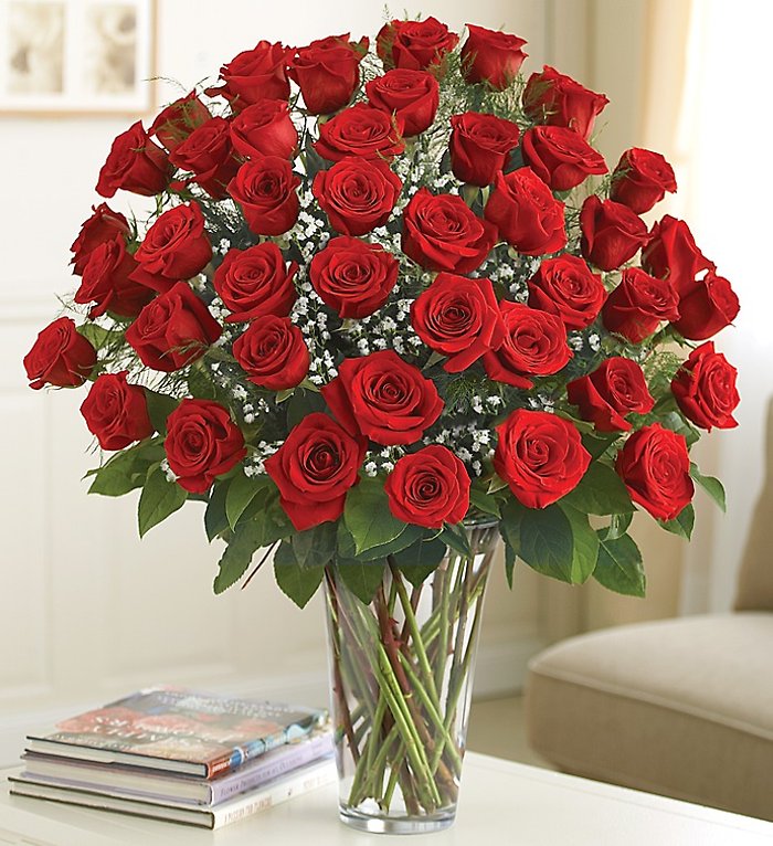 24 Premium Long Stem Red Roses