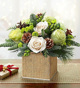 Winter Wonderland&trade;