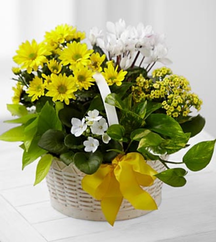 A Bit of Sunshine™ Basket