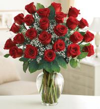 24 Premium Long Stem Red Roses